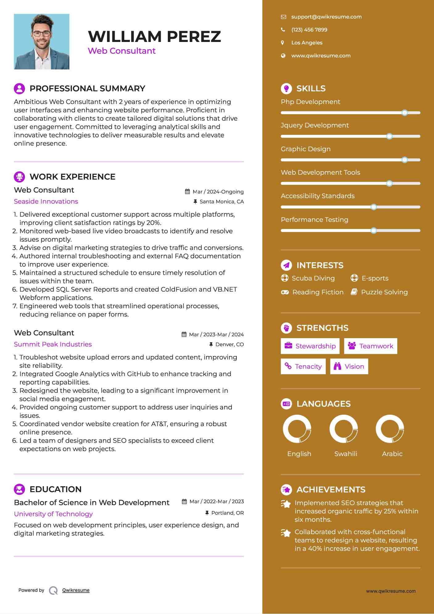 Web Consultant Resume Template