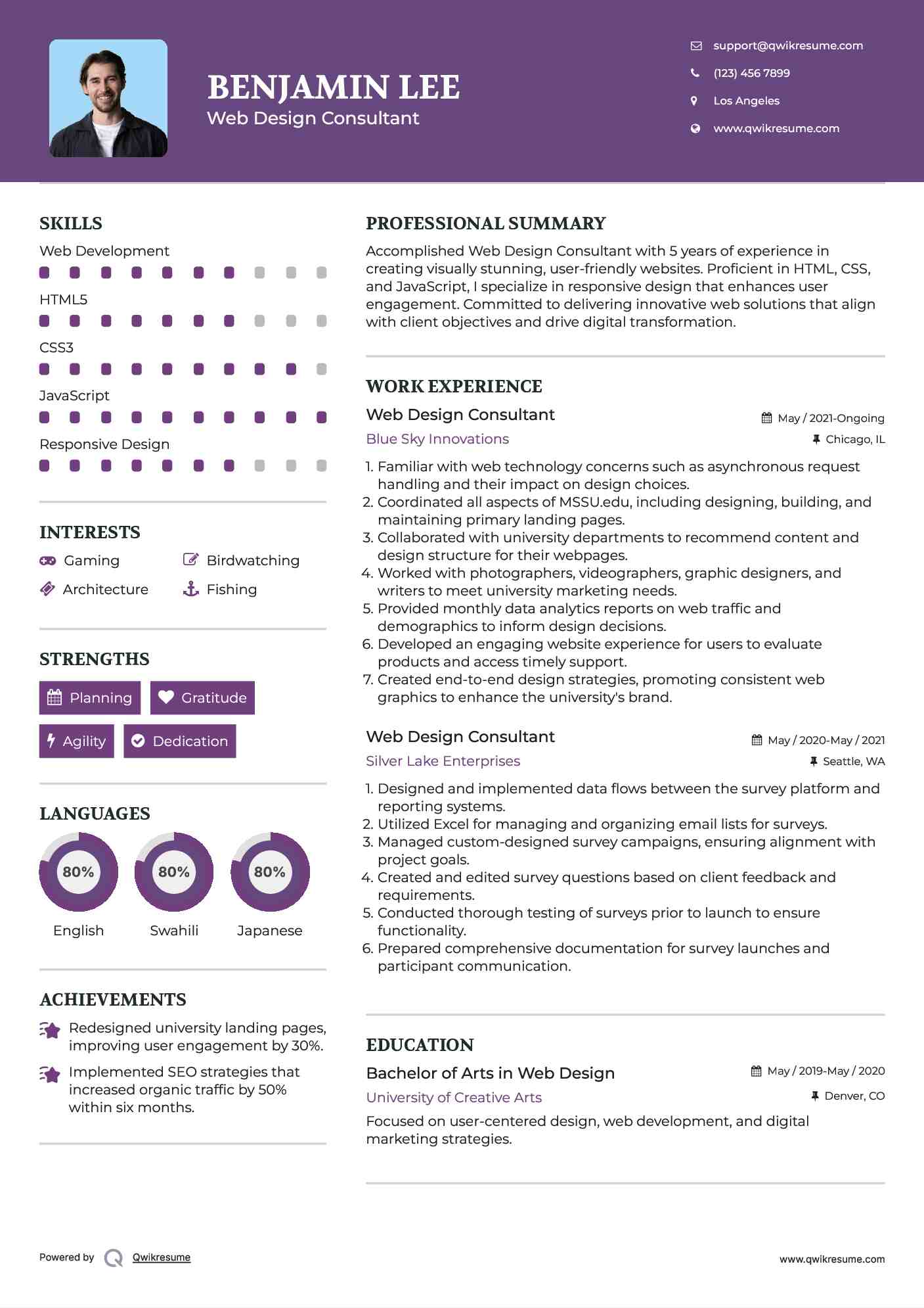 Web Design Consultant Resume Sample