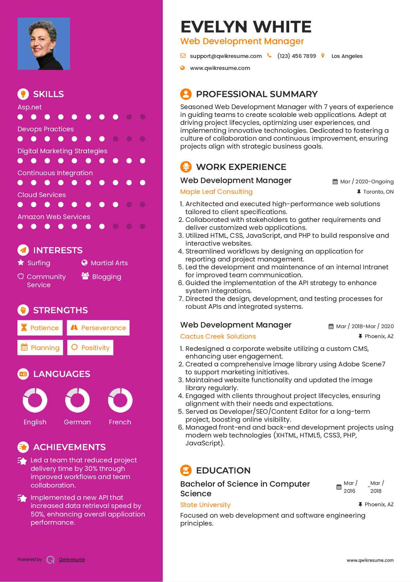 Web Development Manager Resume Example