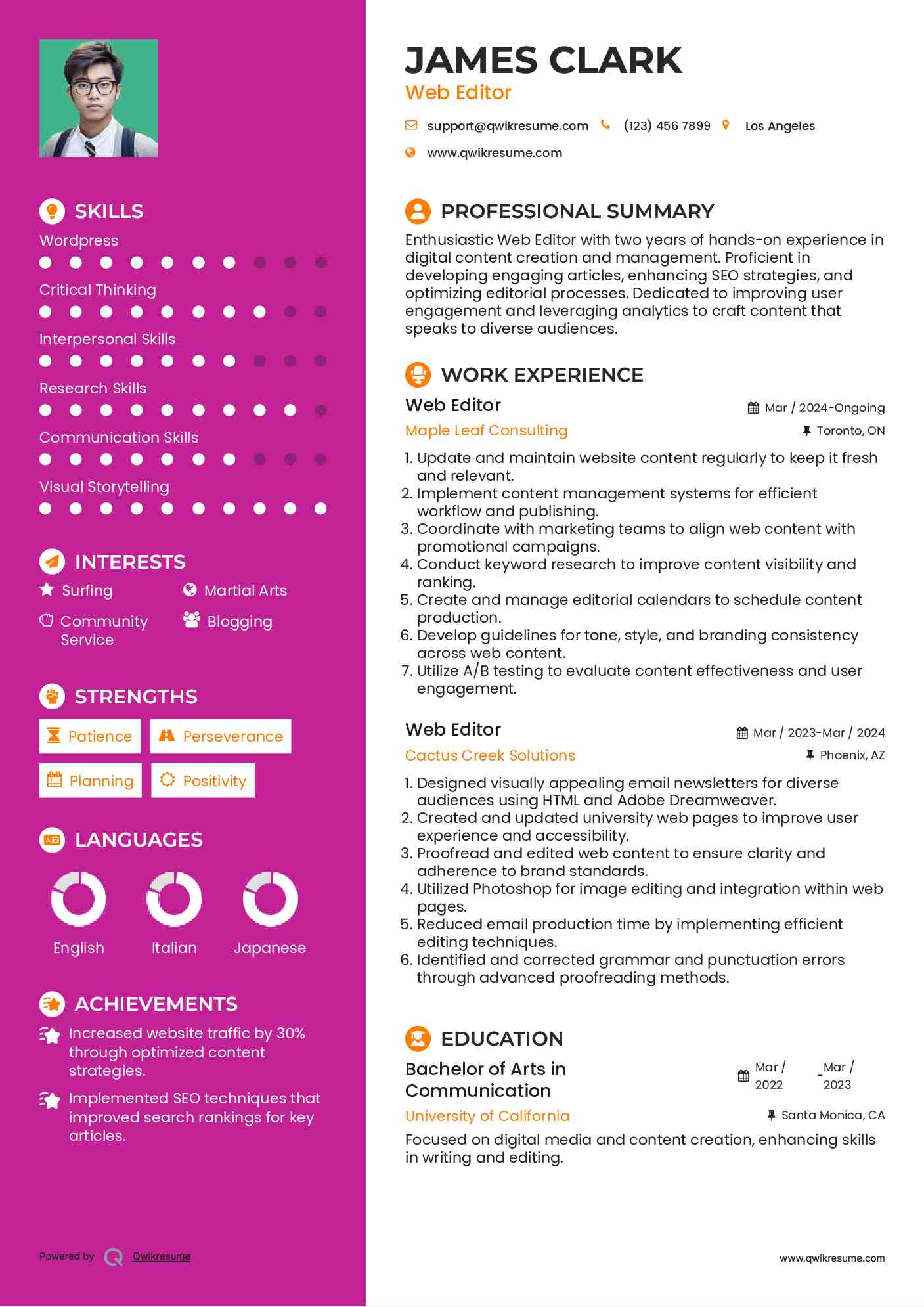 Web Editor Resume Model