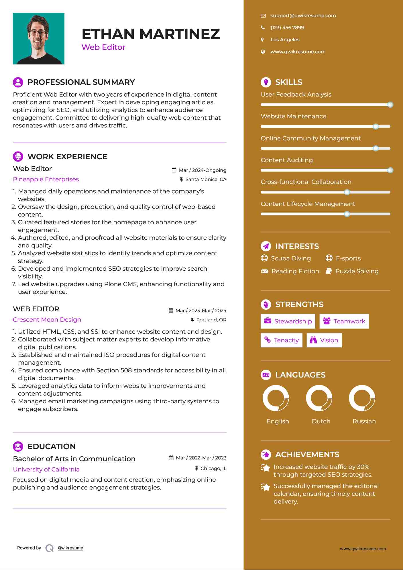 Web Editor Resume Format