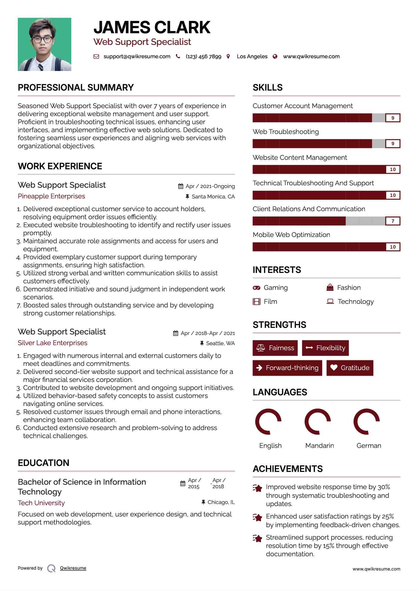 Web Support Specialist Resume Sample