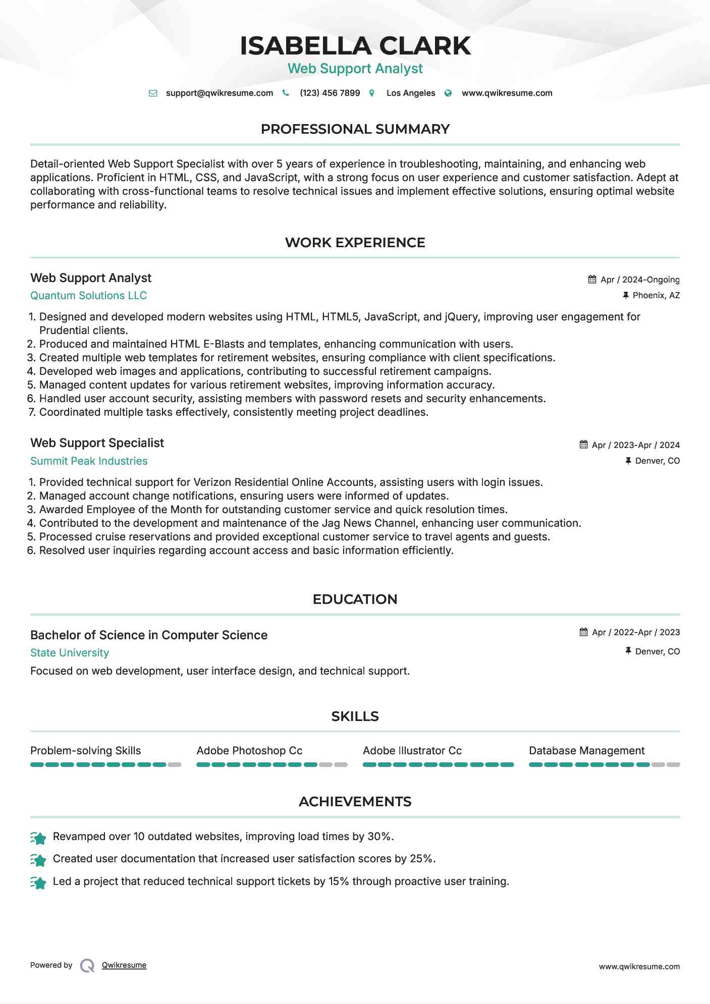 Web Support Analyst Resume Example