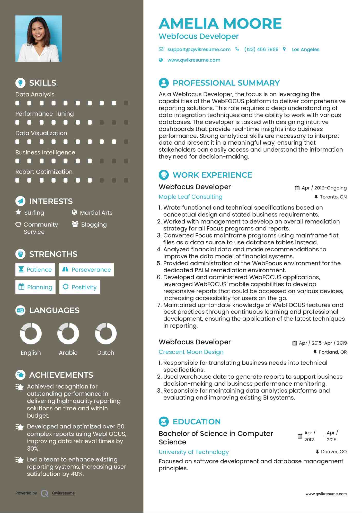Webfocus Developer Resume Example