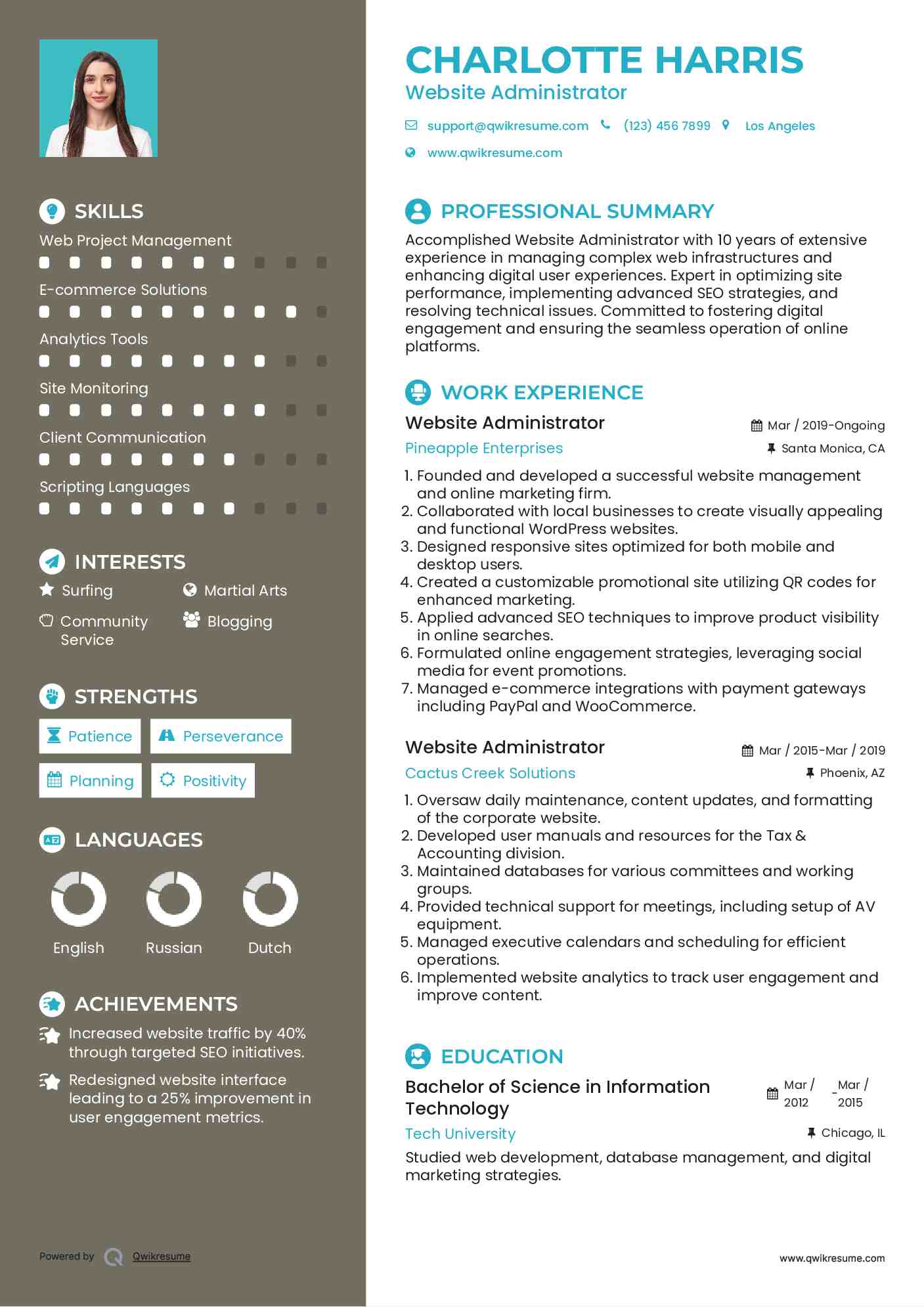 Website Administrator Resume Model