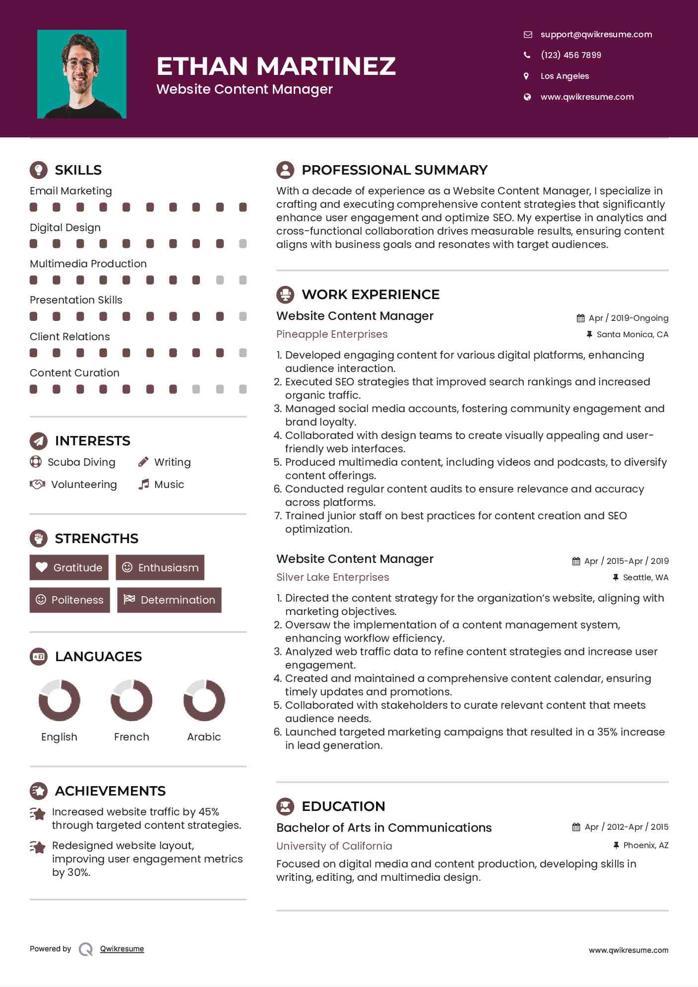 Website Content Manager Resume Format