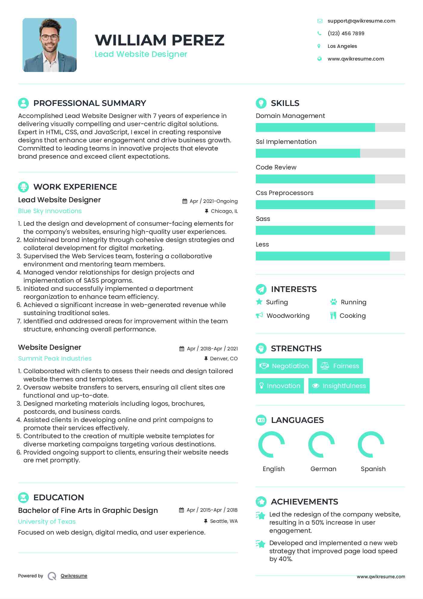 Lead Website Designer Resume Sample