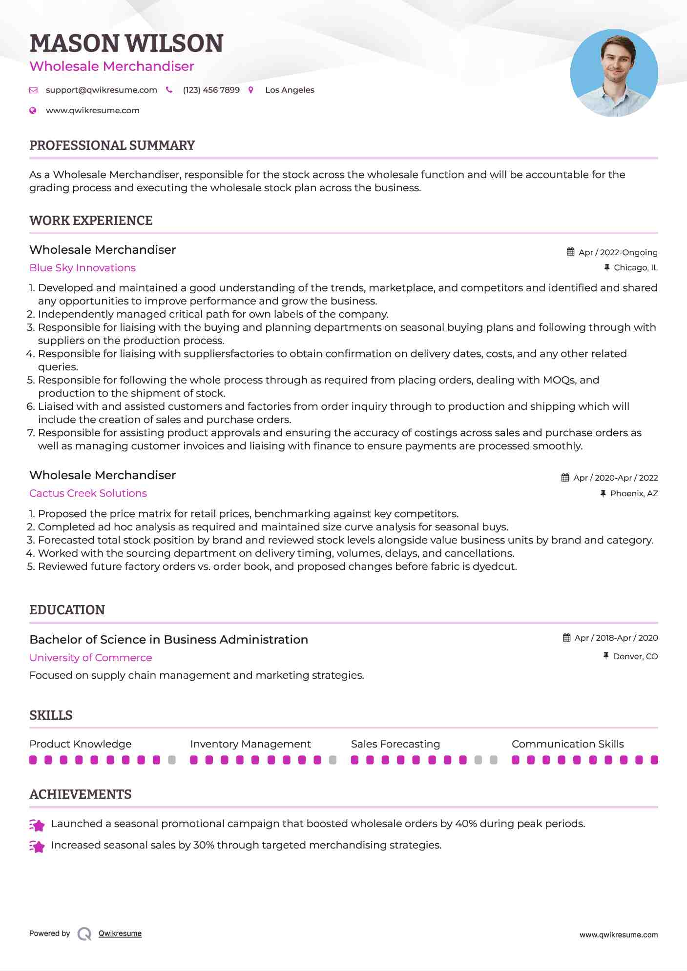 Wholesale Merchandiser Resume Format