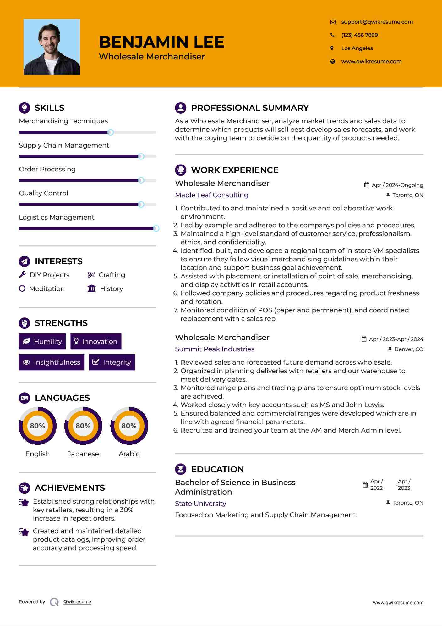 Wholesale Merchandiser Resume Model