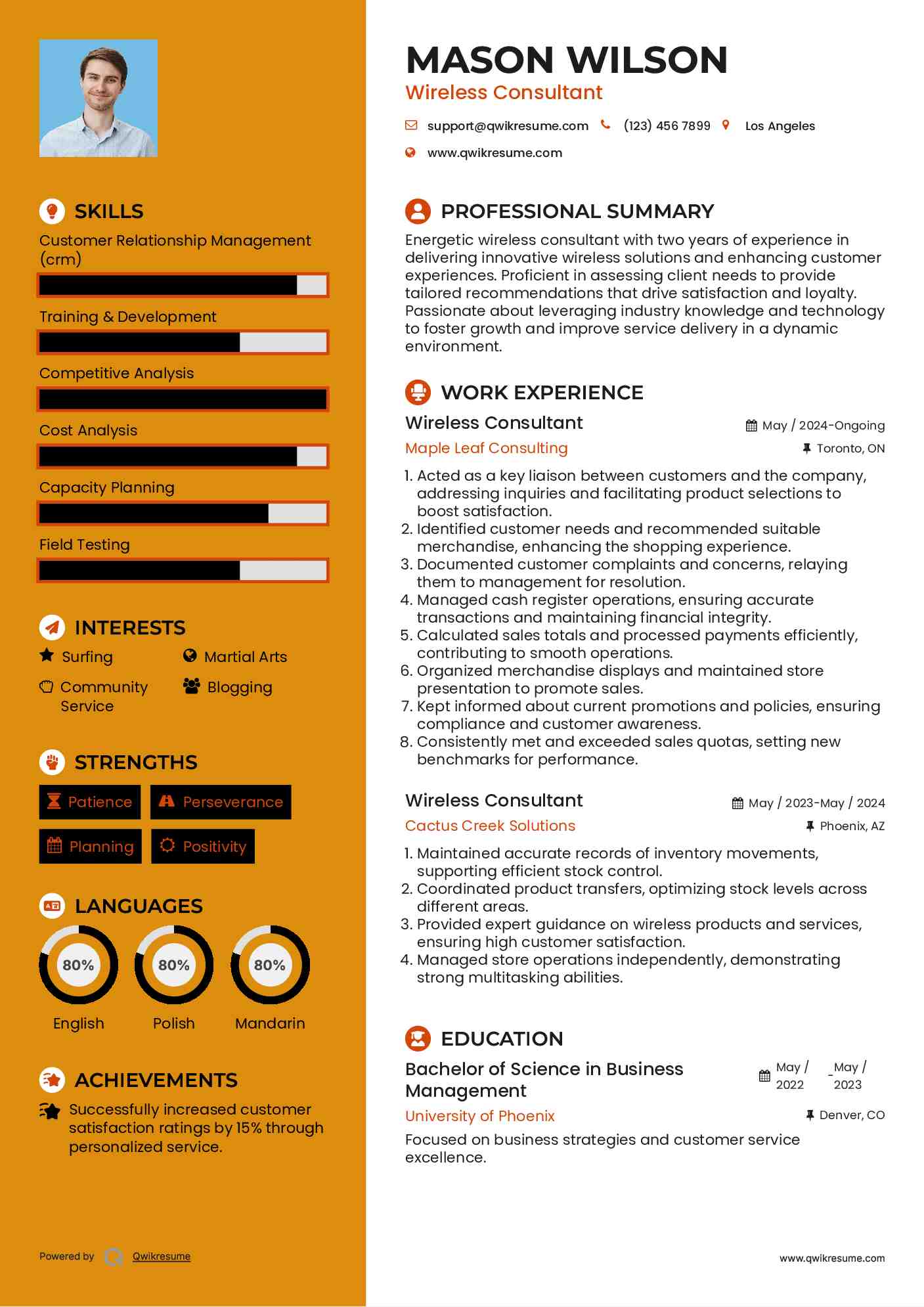 Wireless Consultant Resume Model
