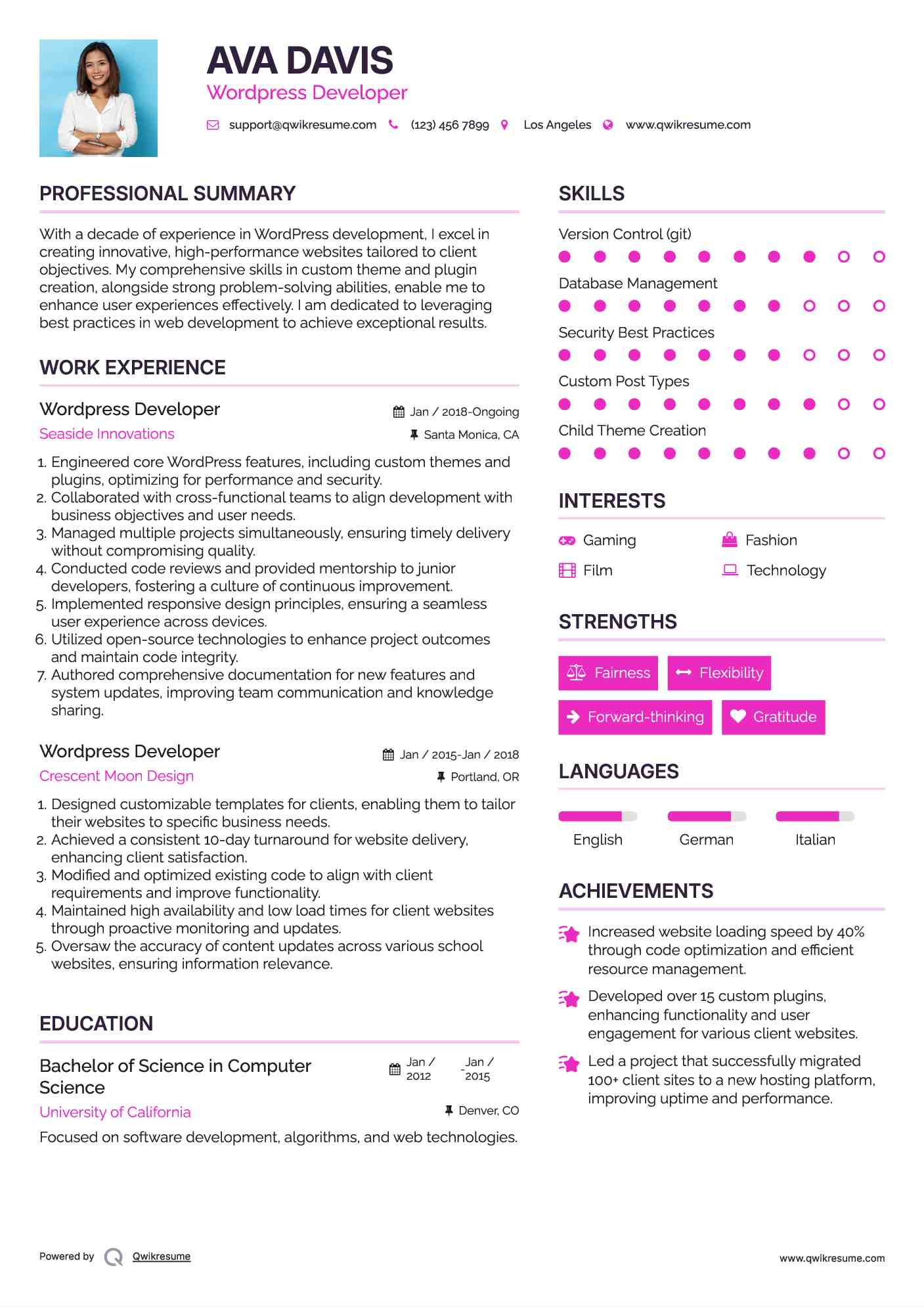 Wordpress Developer Resume Example