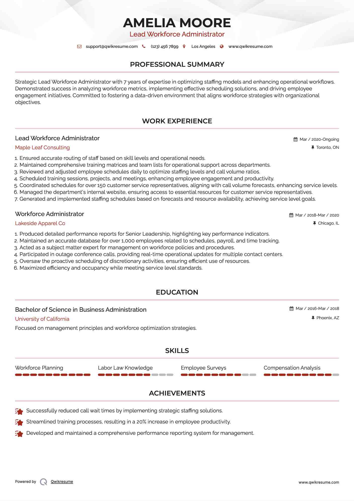 Lead Workforce Administrator Resume Model