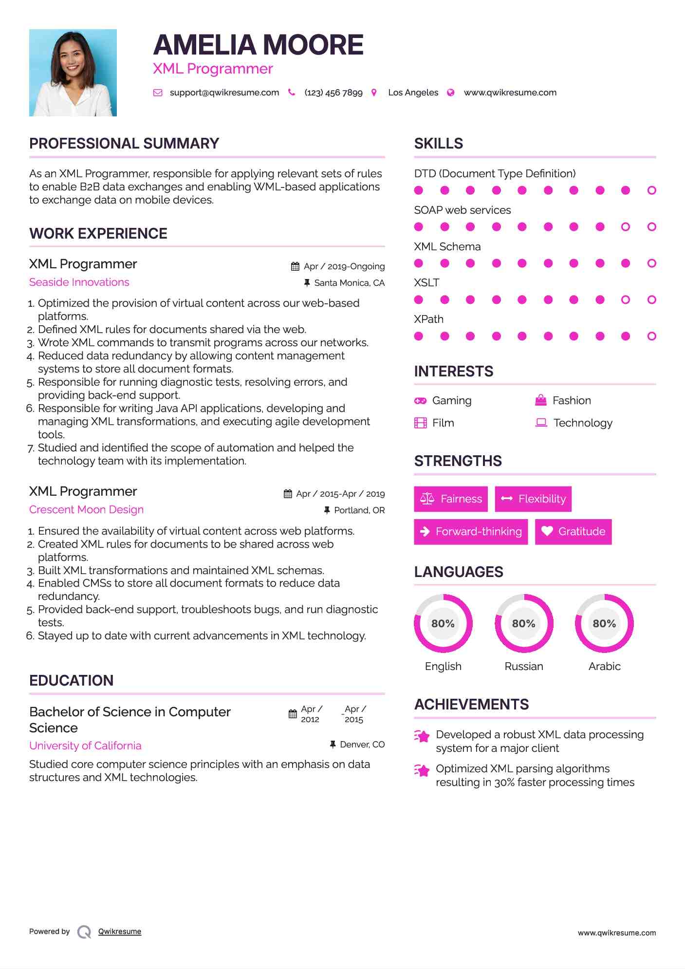 XML Programmer Resume Example