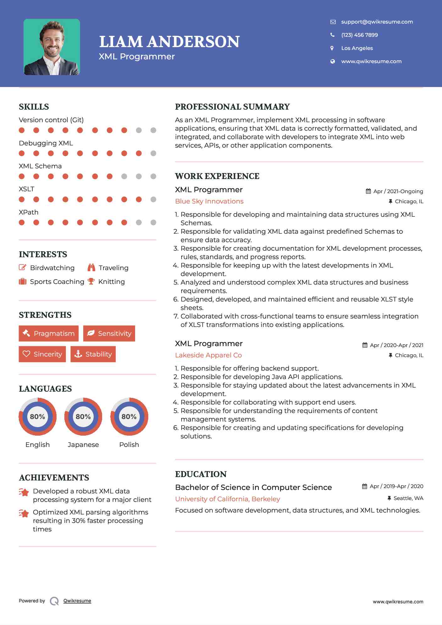 XML Programmer Resume Model